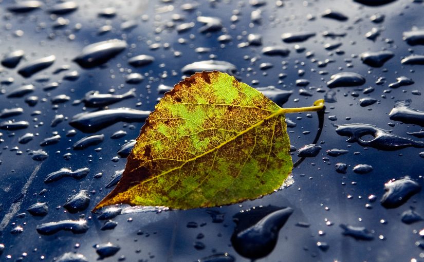 Preparing Your HVAC for Autumn and Winter Rain